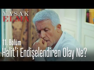 Halit'i endişelendiren olay ne? - Yasak Elma 11. Bölüm