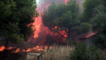 Buildings destroyed in deadly Greek wildfires