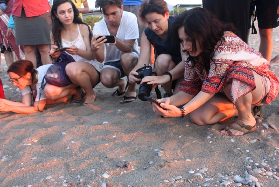 Caretta Carettalar Rekor Kırdı