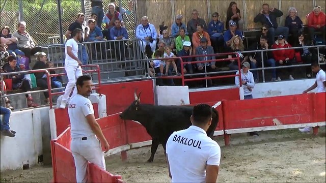 JONQUIERES-ST-VINCENT-Course Camarguaise-Laurent-J.Bon-Joncas-13-06-2018