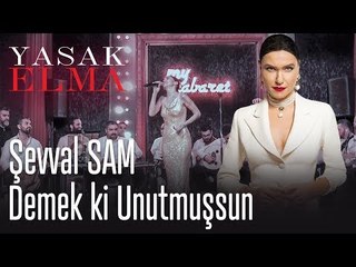 Yasak Elma Gecesinde Şevval Sam'ın Muhteşem Performansı #2