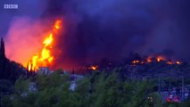 Deadly forest fires rage across Greece - BBC News