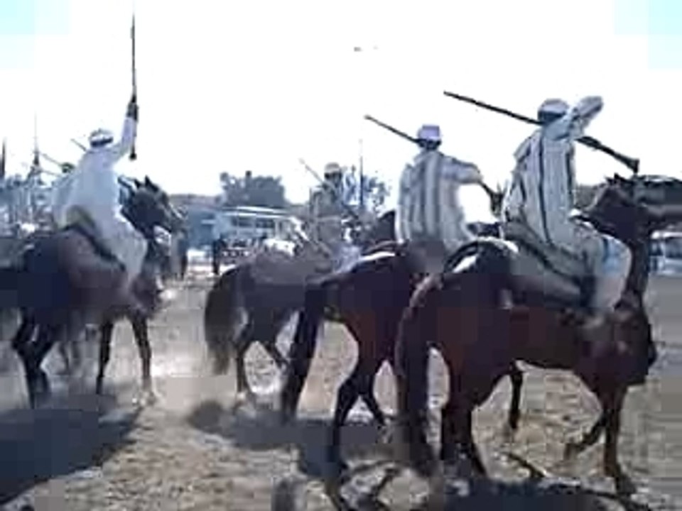 Guercif moussem zitoune 2007 (2)