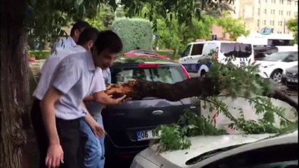 Eskişehir'deki fırtına ağaçları devirdi, araçlara zarar verdi