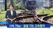 폭염에 70km 느릿느릿…‘거북이 열차’ 된 KTX