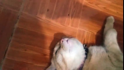 I'm not sleeping I'm just resting my eyes