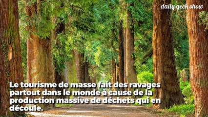 Un gîte zéro déchet pour un tourisme responsable