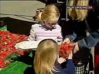 الفيلم الوثائقي حول العالم  النرويج