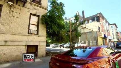 Woman Arrested After Ordering Pit Bulls To Attack Man Walking To Church