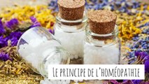 Peut-on maigrir avec l'homéopathie