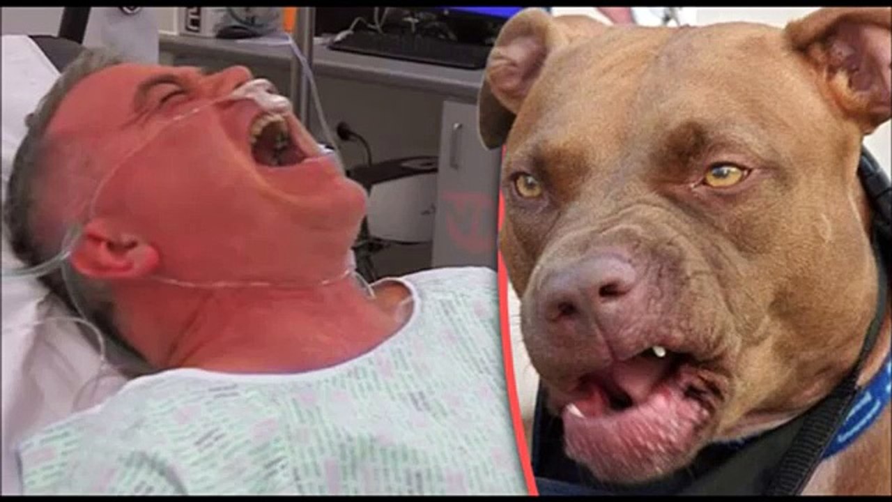 Bulldog Bites Pedophile’s Penis Off as He Tried to Rape Sleeping Children