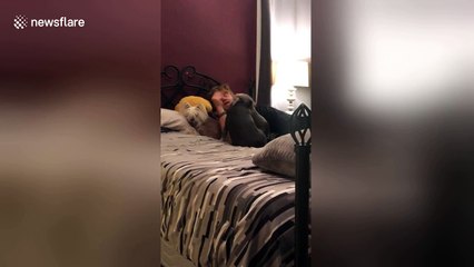These dogs love a good bedtime story every night