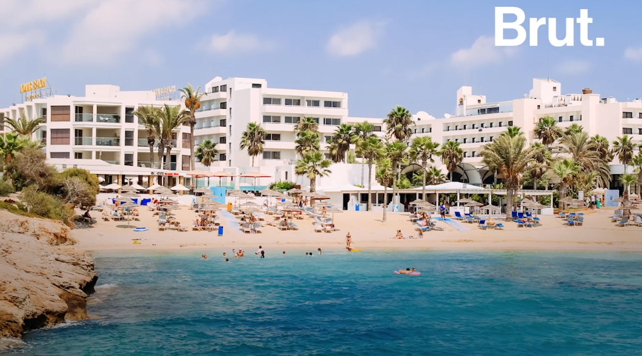 Chypre : le tourisme menace les phoques moines