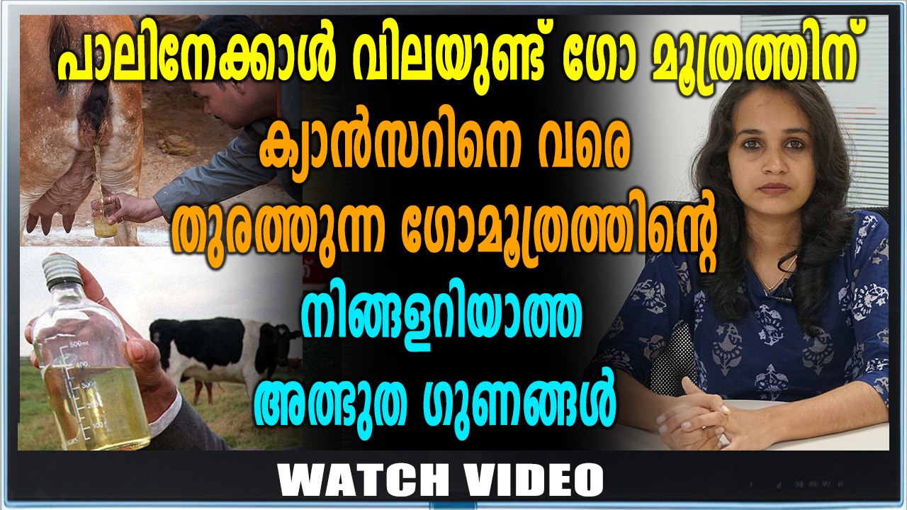 ഗോമൂത്രത്തിന് ലിറ്ററിന് 30 മുതൽ 50 രൂപ വരെ വില | Oneindia Malayalam