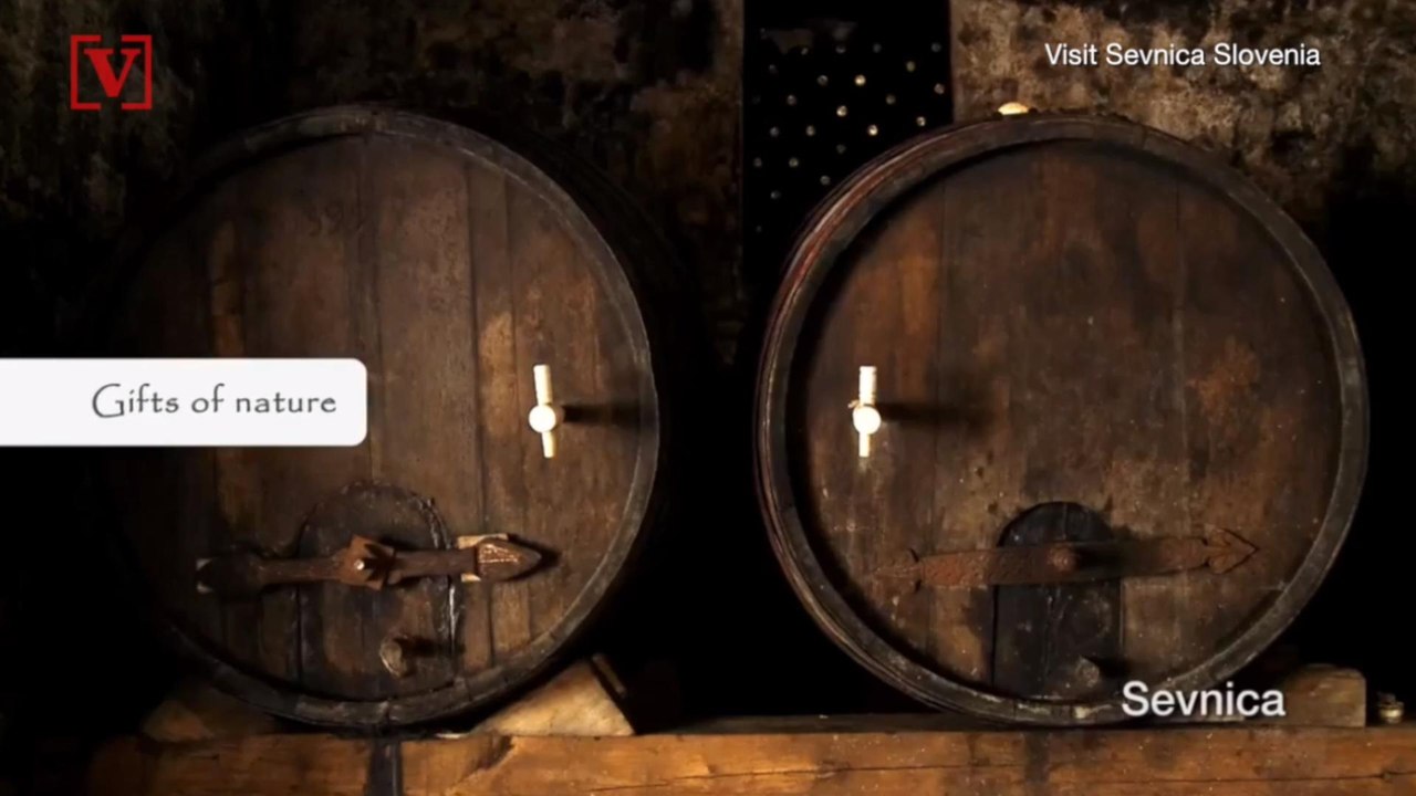 Melania Trump May Not Be Getting The Thumbs Up From Her Slovenian Town’s Tourism Board: Report