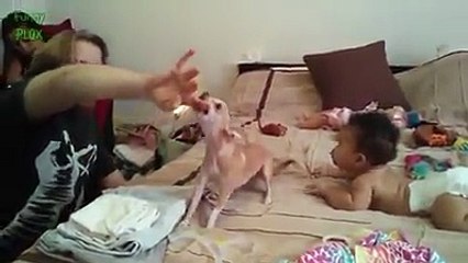 Animals are peoples best friend and its true. [ View more videos by clicking links in the description]