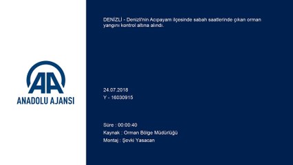 Denizli'de orman yangını kontrol altına alındı - DENİZLİ