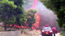Incendios voraces en Grecia dejan 50 muertos