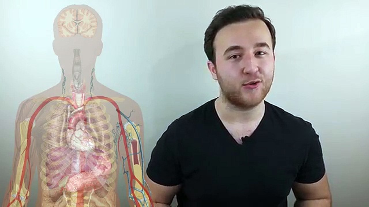 Web tasarıma Giriş