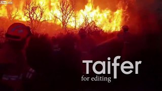 Incendies de feux de forêt en Grèce - 60 morts