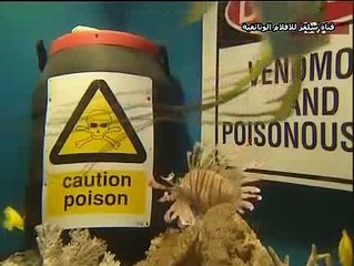 الفيلم الوثائقي حول العالم  نيوزيلندا