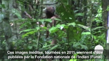 Le dernier survivant d'une tribu indienne du Brésil menacé (ONG)