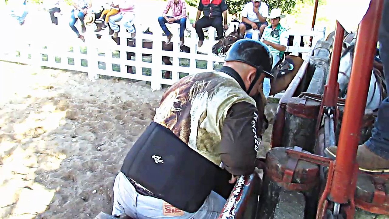 NACIONAL DE COLEO