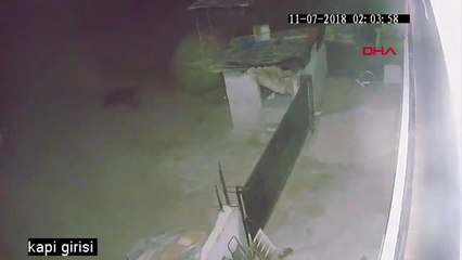 Aydın Malkara'da Trafik Kazası: 1 Ölü, 2 Yaralı Hd