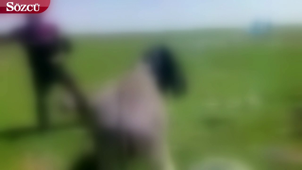 Kars’ta eşeklere eziyet eden kişi yakalandı