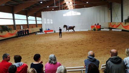 SGM III Kür Turnier Weicht 22.07.18