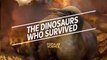 The dinosaurs who survived