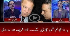 Ye Dosti Hum Nahi Chorain Ge - Nawaz and Zardari