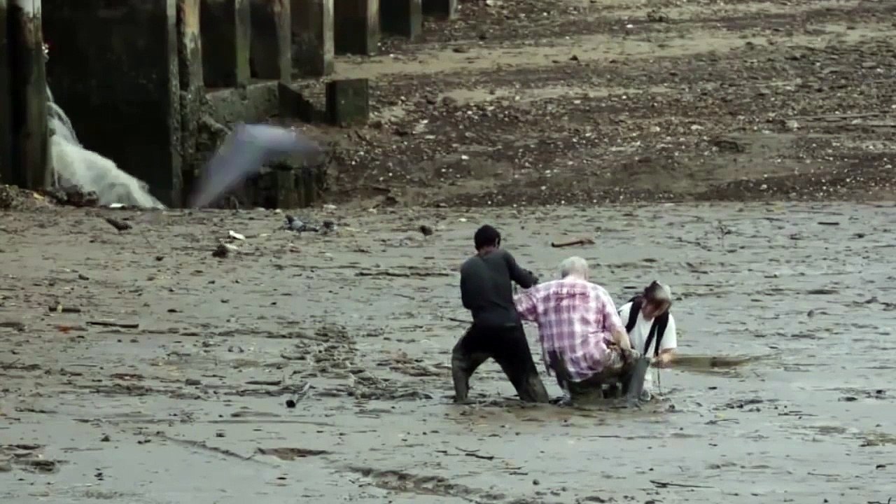 L'attitude humaniste la plus merveilleuse que vous verrez dans votre vie