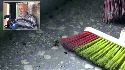 Arılardan Kurtulmak İsterken, Evini Yaktı!