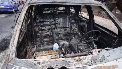 Yunanistan'daki orman yangını - ATİNA