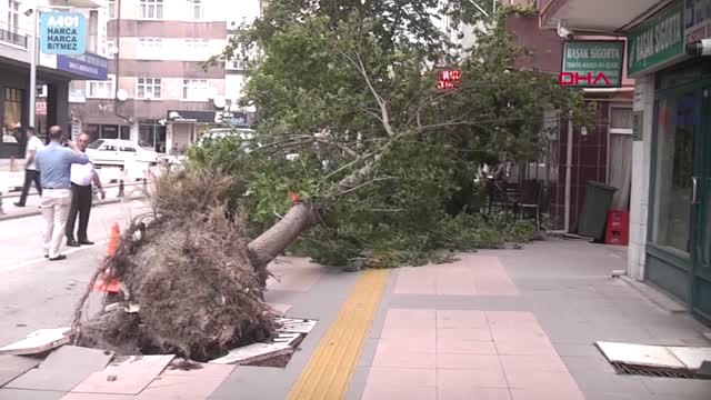 Çankırı'da Şiddetli Rüzgar Ağaçları Kökünden Söktü Hd
