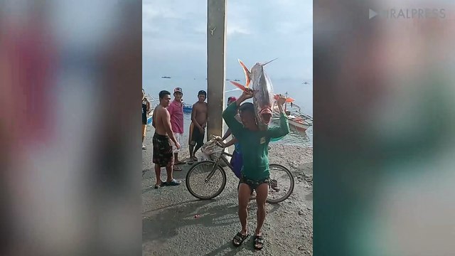 Fisherman Carries Giant Moonfish On Shoulders