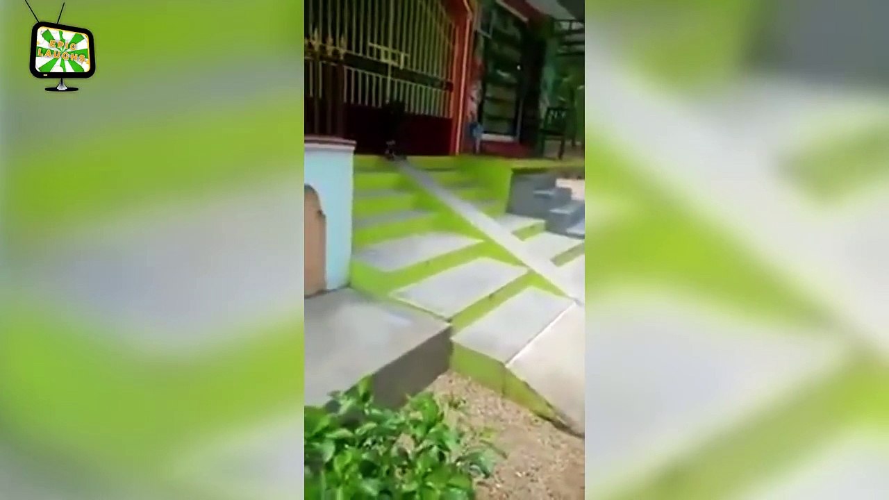 Goats Screaming  Funny Goats Screaming Compilation (Part 1) [Epic Laughs]