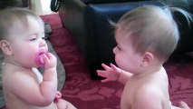 Twin Babies Fight Over Their Favorite Pacifier