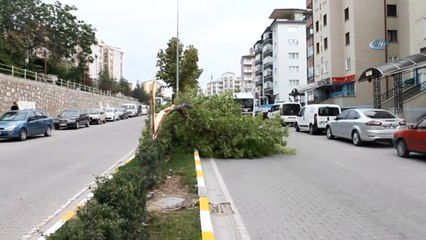 Şiddetli rüzgar korkuttu