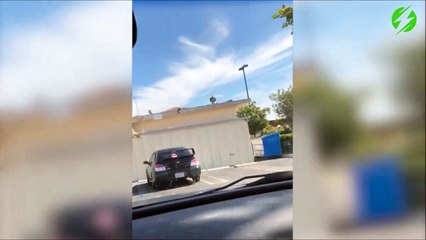 Un manège pour pigeons...