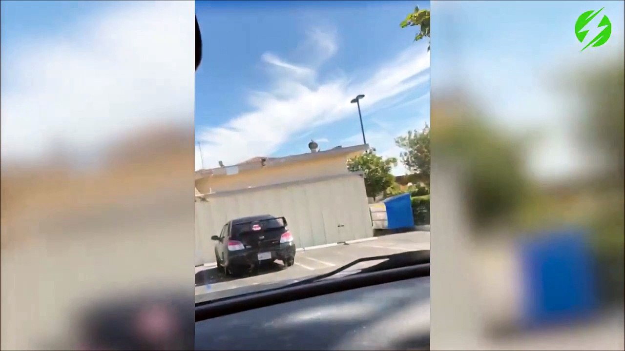 Un manège pour pigeons...