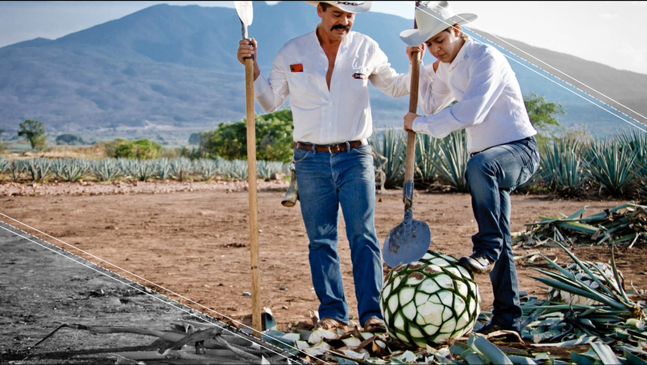 Tequila Takes Over The World