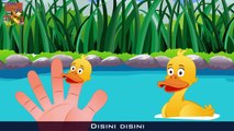 Keluarga Jari | Bebek bebek | Lagu Anak TV| Duck Finger Family in Bahasa Indonesia