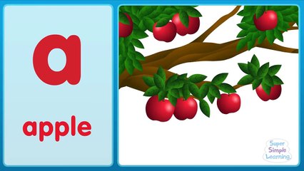 Super Simple ABCs for Young Learners 📚