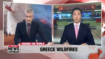 Wildfires kill at least 74 in Greece