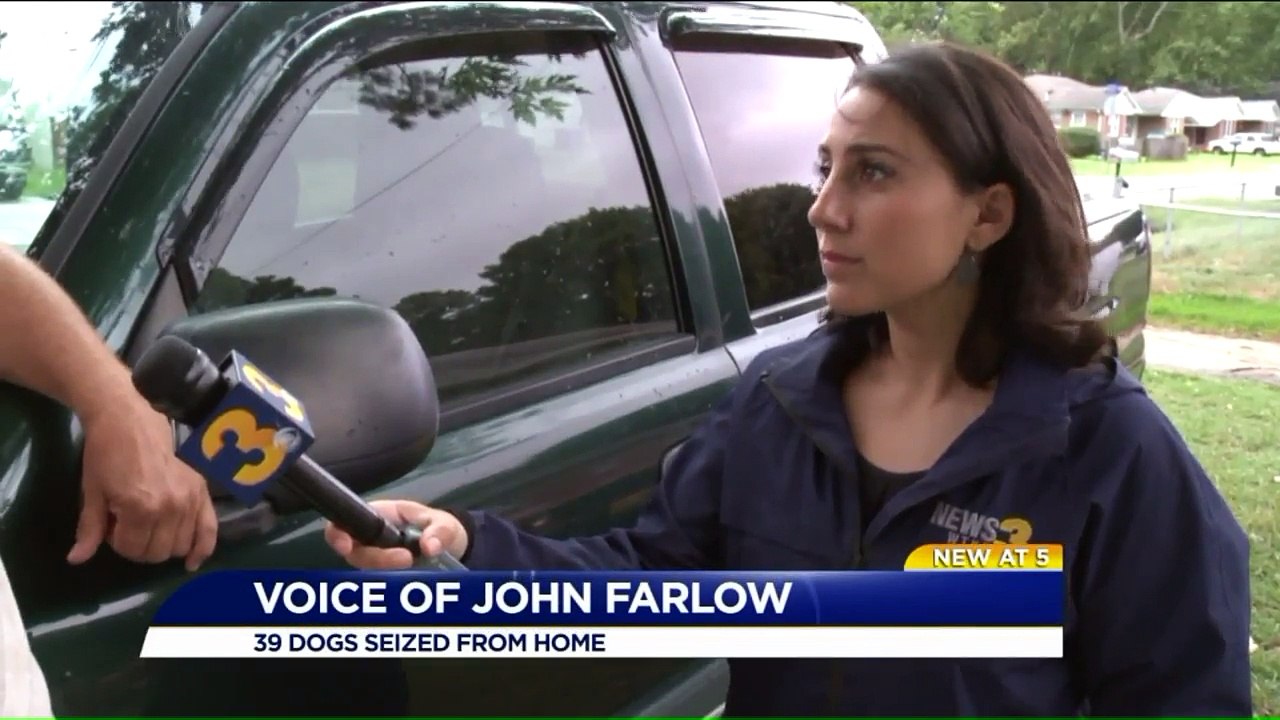 `I`m Guilty of the Heinous Crime of Loving Animals`: Nearly 40 Basset Hounds Seized from Home