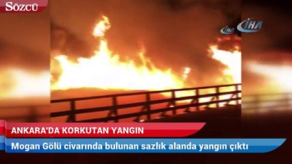 Mogan Gölü sazlık alanında yangın
