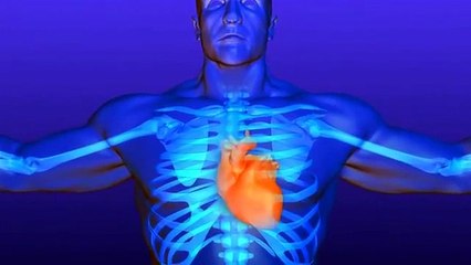 Efektet mahnitese te marteses tek mashkulli.Kurani dhe Shkenca