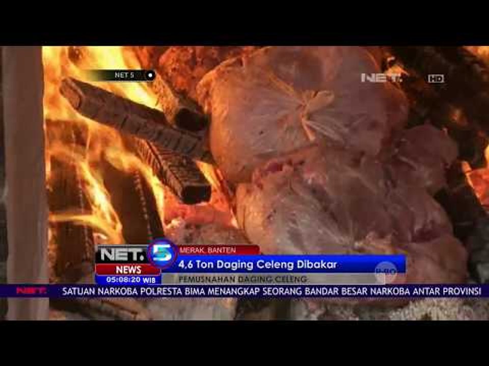 Pemusnahan Daging Celeng - NET 5